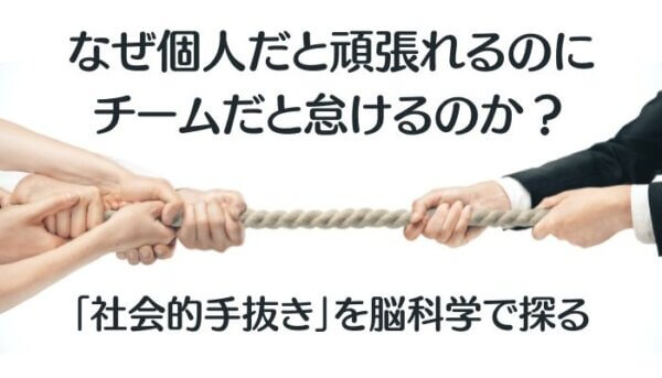 社会的手抜き-A1