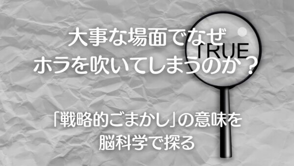 戦略的ごまかし-A1