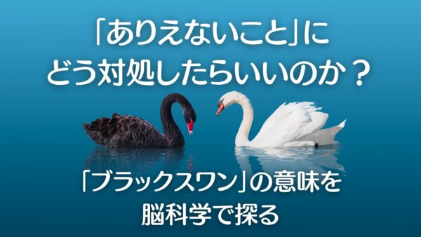 ブラックスワン-A1